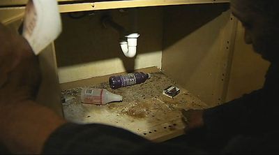 richmond housing project pests